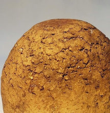 画像をギャラリービューアに読み込む, 小川待子