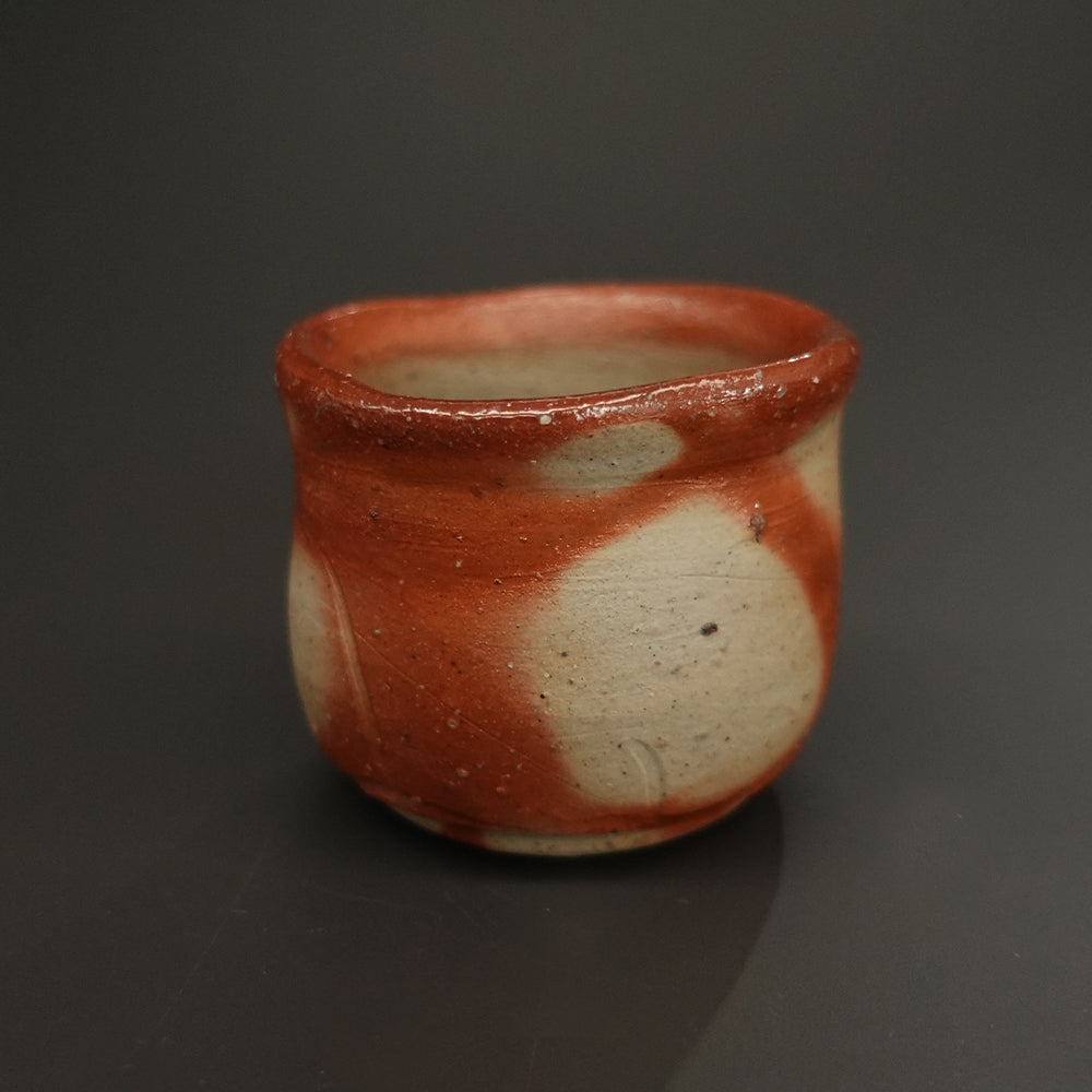 伊勢崎紳