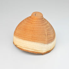 画像をギャラリービューアに読み込む, 髙月國光
