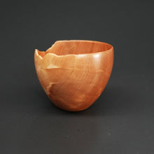 画像をギャラリービューアに読み込む, 髙月國光
