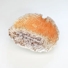 画像をギャラリービューアに読み込む, 武田浪
