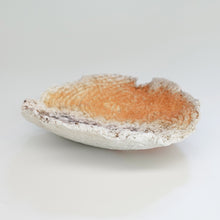 画像をギャラリービューアに読み込む, 武田浪
