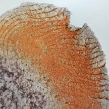 画像をギャラリービューアに読み込む, 武田浪
