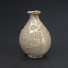 画像をギャラリービューアに読み込む, 篠原希
