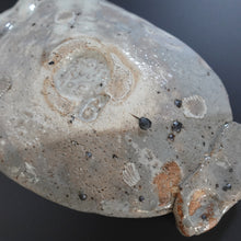 画像をギャラリービューアに読み込む, 鯉江良二
